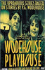 Wodehouse Playhouse, série 1 (Boxset) DVD Film
