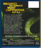 The Beauty Of Snakes (Blu-ray) Blu-Ray Movie