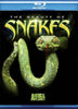 The Beauty Of Snakes (Blu-ray) Blu-Ray Movie