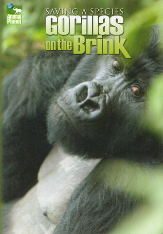 Saving A Species - Gorillas On The Brink DVD Movie