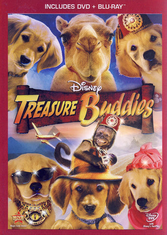 Treasure Buddies (Includes DVD / Blu-ray) DVD Movie