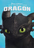 How to Train Your Dragon (Light Blue Cover) DVD Movie