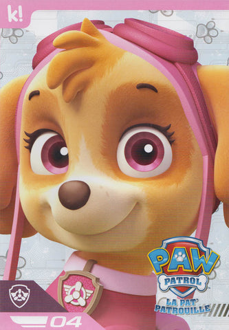 PAW Patrol - Skye Collection (Bilingual) DVD Movie