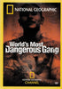 World s Most Dangerous Gang (National Geographic) DVD Movie
