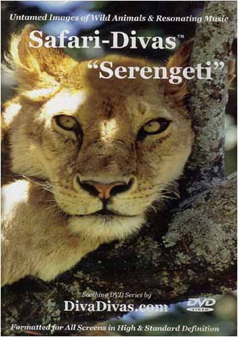 Safari-Divas - Film DVD Serengeti