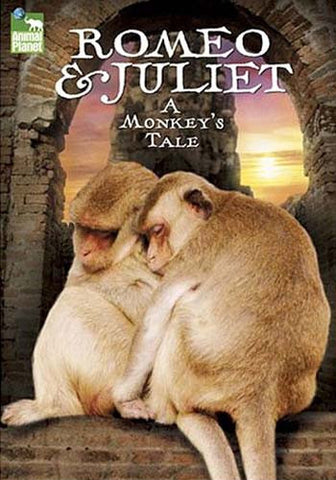 Roméo et Juliette - Film DVD du conte d'un singe