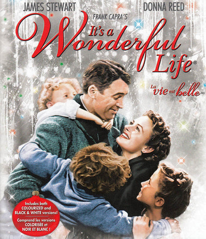 C'est une vie merveilleuse (Blu-ray) (2009) (Bilingue) Film BLU-RAY