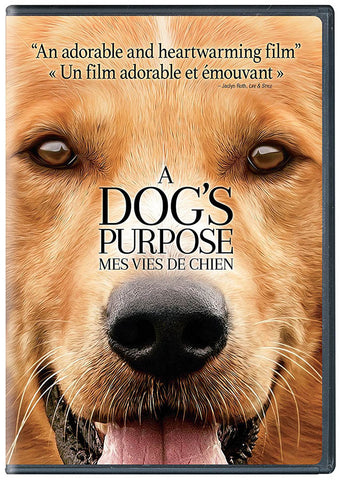 Le film d un chien (bilingue) DVD