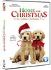 Home For Christmas - A Golden Christmas 3 DVD Movie