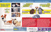 La vie secrète des animaux domestiques (Blu-ray + DVD) (Blu-ray) (Ensemble-cadeau d'une durée limitée) (Bilingue) (Boxset) Film BLU-RAY