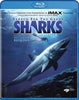 À la recherche des grands requins (Blu-ray) (Bilingue) Film BLU-RAY