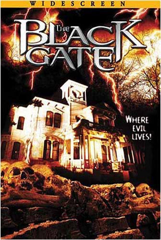 Le film Black Gate (édition grand écran) sur DVD